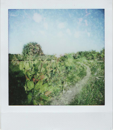 Exploration