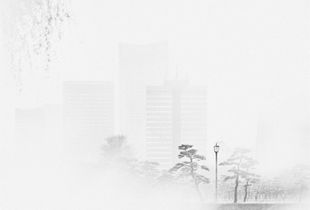 Marunouchi view with pines