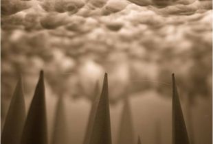 Foreboding © Amber Hall
