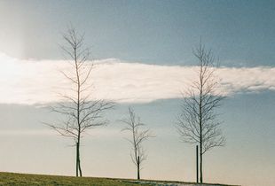 March