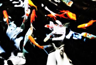 * FisH  N*  StuFf *