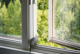 Domestic Armadillo © Doris Mitsch