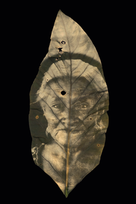 01 TZELTAL OLD WOMEN - CHIAPAS, MEXICO  Cholrophyill print on Anthurium crassinervium Leaf