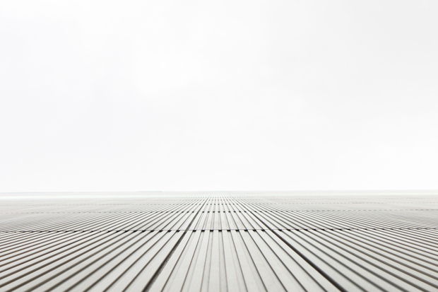 VISIBILITY/A TRAP#1