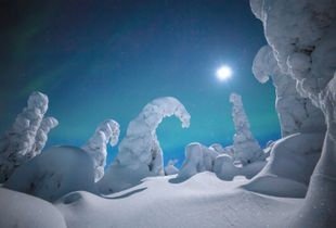 Like an alien planet.