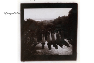 cover of the book  "A Thousand Lilies"