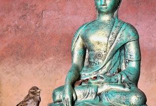 Considering Enlightenment