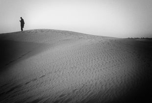 Wandering in the desert