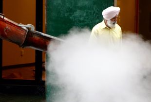 The Genie