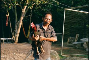 CHICKEN