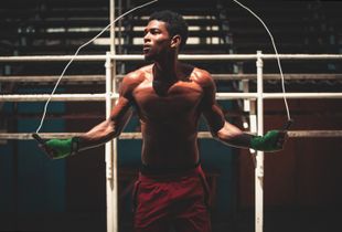 Boxer
