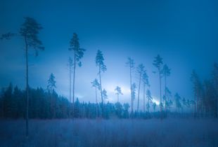Baltic blue