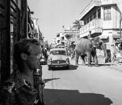 Elephant in the Street in Madras and Gary