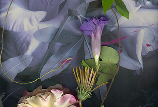 Untitled, 2015