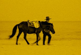 Horseman and his Horse
