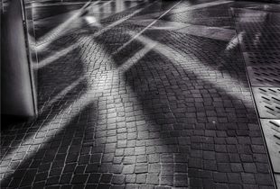 Reflexes.