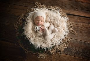 Baby Bear