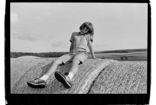 Bay sitting on hay bales