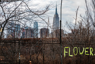 Urban Nature I