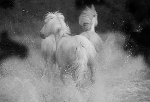 Angels Running