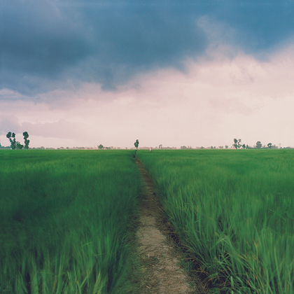 Flatland A Landscape of Punjab