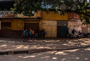 In The Shade of a Tree