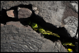Rupture triptych #1