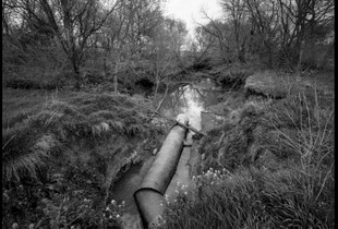 21-01 8x10 BW