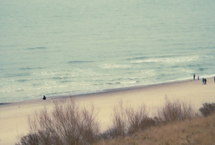 Winter Walk