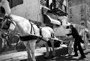 A Hearse in Harlem