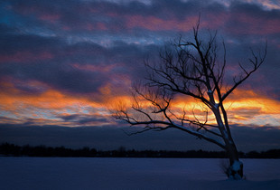 Fire & Ice, in Abstract