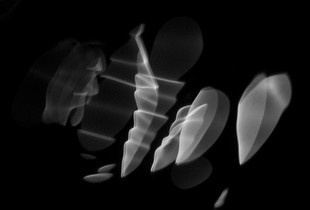 Water visions – Vortex imaginationis I