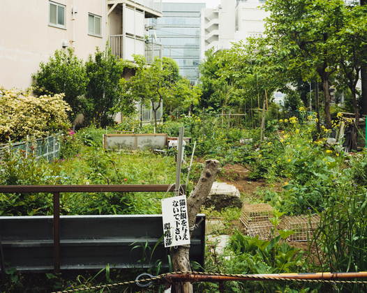 Aoyama Kitamachi Apaato Gardens #14