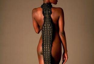 The Back 1