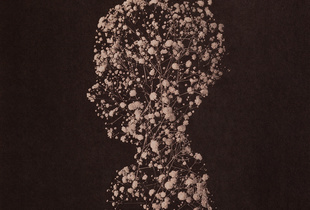 Untitled 1