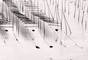Eternal Memory I