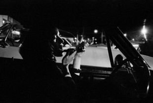 © Robert Larson