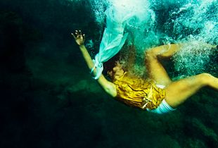 The Fall of ICARUS