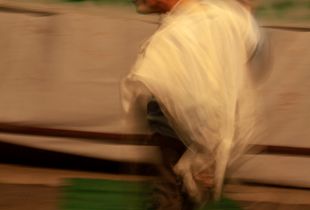 Devotee