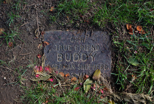 Our True Friend Buddy, Oregon Humane Society Animal Cemetery