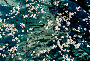 Floating Flora