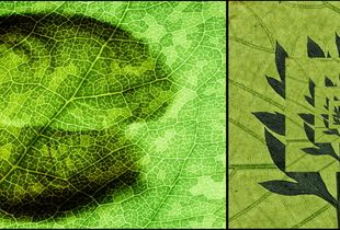 Reinterpretation 09 - Transparency+Concentric Square