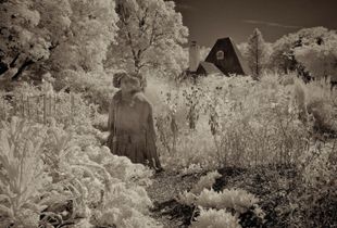 © Mildred Alpern