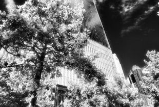 At the World Trade Center No.7 - Freedom Tower, Summer Afternoon