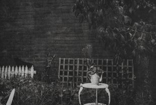 un-titled, (garden flowers nasturtium), handcrafted héliogravure print, 2016