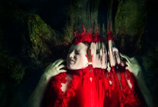 MEDUSA I: TRAUMA and MEMORY