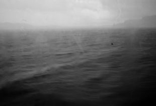 Bergen, Norway, 2015