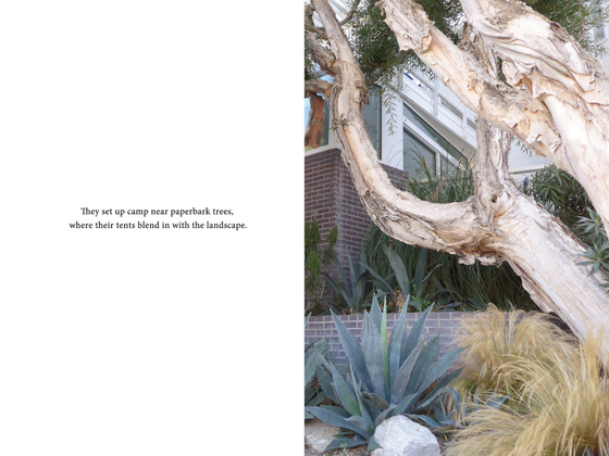 They set up camp near paperbark trees, where their tents blend in with the landscape.