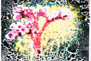 flower 1