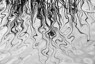 Beside the water II